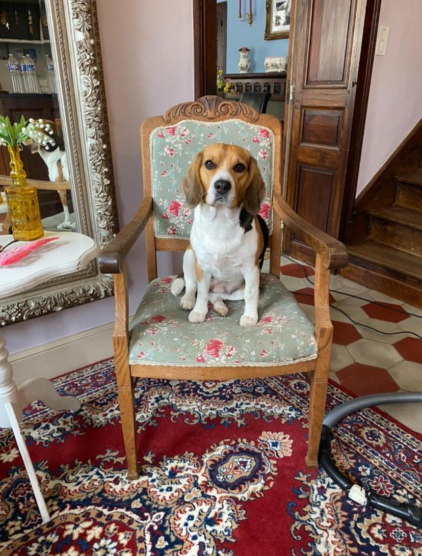 Fleur D'Iris Bed & Breakfast Perpezac-le-Blanc Luaran gambar